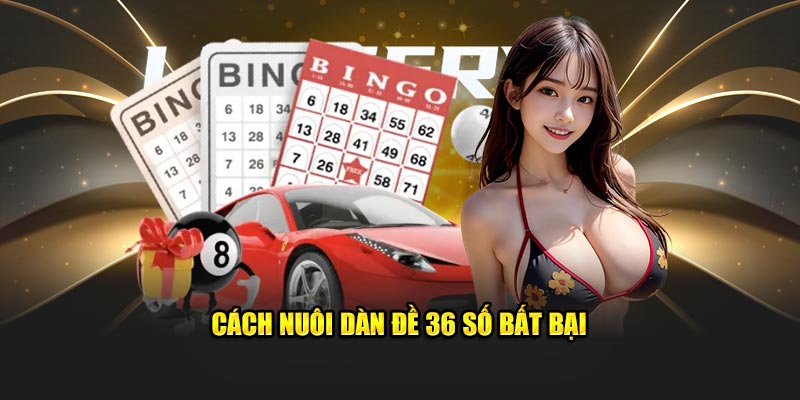 Cách nuôi dàn đề 36 số bất bại