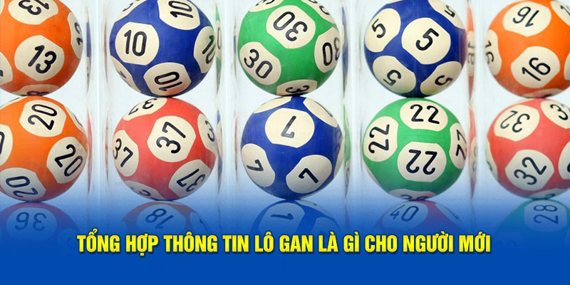 Tổng hợp thông tin về lô gan là gì cho người mới